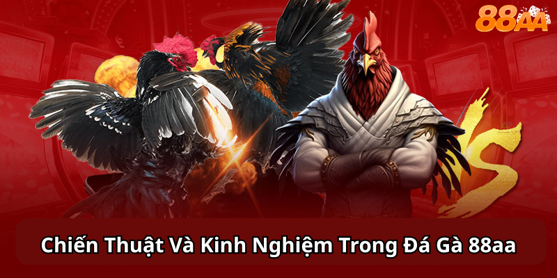 Rủi Ro Và Cách Giảm Thiểu Rủi Ro Khi Chơi Đá Gà 88aa