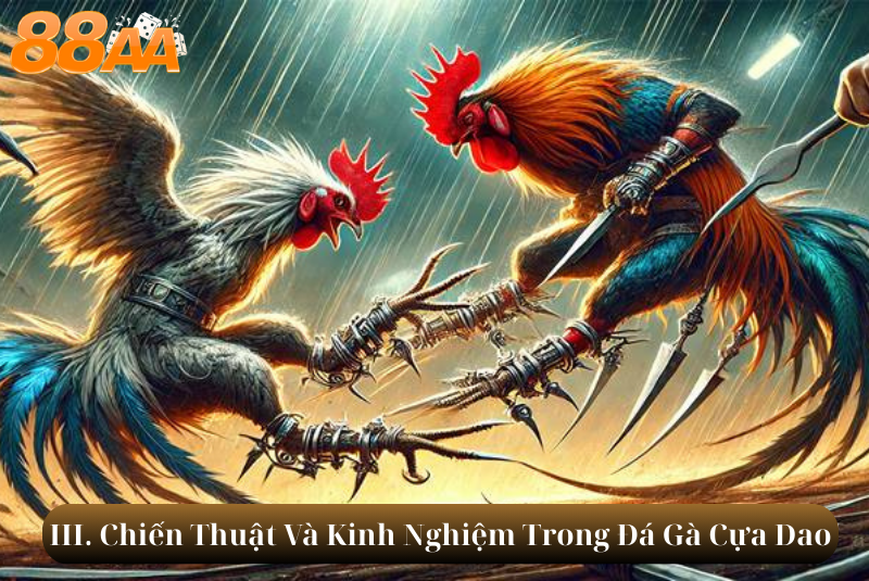 III. Chiến Thuật Và Kinh Nghiệm Trong Đá Gà Cựa Dao