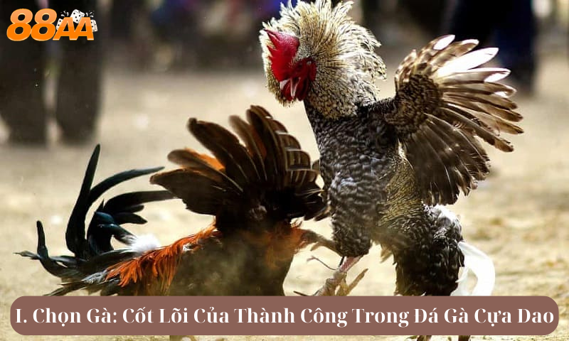 I. Chọn Gà: Cốt Lõi Của Thành Công Trong Đá Gà Cựa Dao