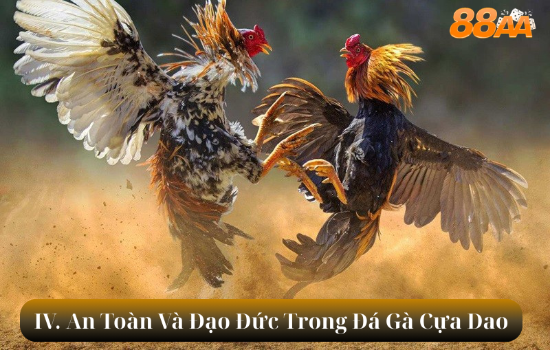 IV. An Toàn Và Đạo Đức Trong Đá Gà Cựa Dao